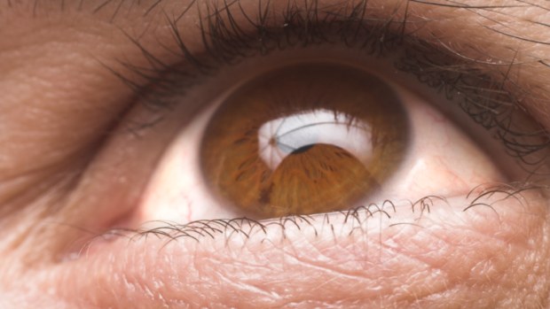 retina