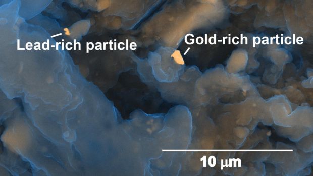 Imagem de microscópio mostra partículas ricas em chumbo e ouro em uma amostra de fezes