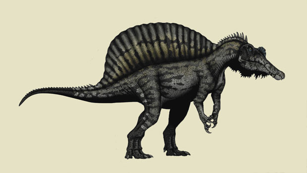 Oxalaia