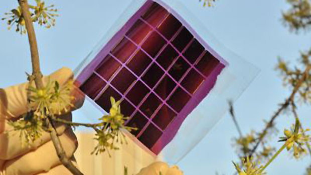 Módulo solar orgânica flexível em uma folha de plástico
