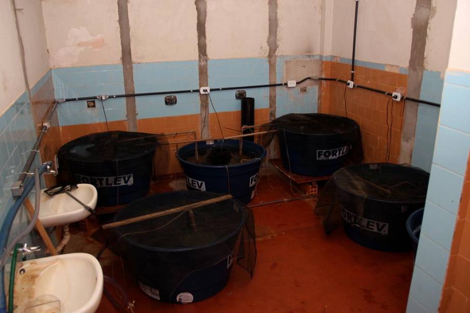 Foto tirada pelo sindicato dos professores em novembro de 2011 mostra uma laboratório improvisado em um dos banheiros do campus de Palotina da Universidade Federal do Paraná (UFPR). De acordo com o diretor do campus, Vinícius Barcellos, a situação permanece inalterada até hoje