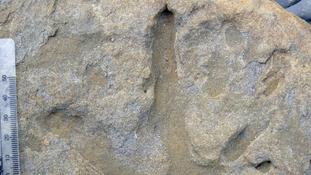 Imagem mostra a pegada preservada de um dos dinossauros que cruzaram a passagem entre a Antártida e a Austrália, há 100 milhões de anos
