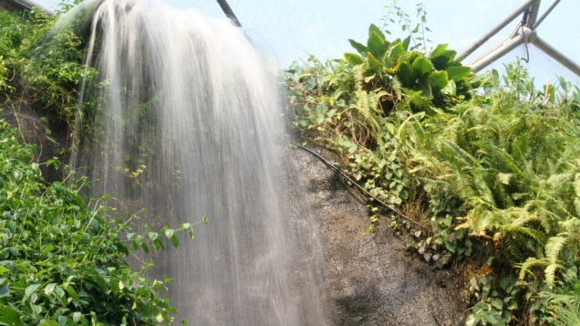 <p>Uma cachoeira artificial na Amazônia do Projeto Éden</p>