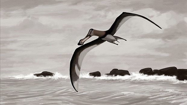 Os pterossauros não eram dinossauros. Trata-se de um grupo diferente de répteis, os primeiros vertebrados a desenvolver a capacidade de voar