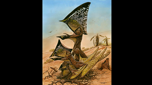 Concepção artística do pterossauro Caiuajara dobruskii