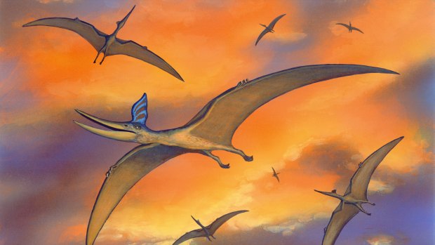Pterodáctilo Pterossauros Animal Pré Histórico Figura Personagem