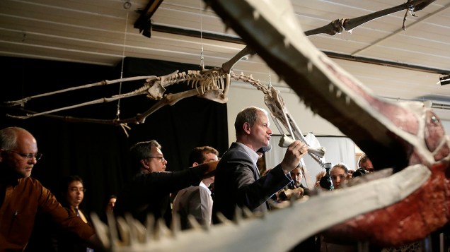<p>Segundo os pesquisadores, o fóssil tem cerca de 110 milhões de anos — é o mais antigo exemplar de um pterossauro gigante</p>