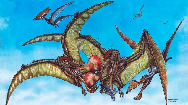 <p>Ilustração cedida pelo Museu Nacional mostra como o pterossauro deveria se parecer</p>