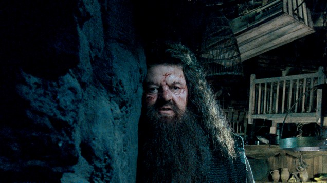 Rúbeo Hagrid é praticamente um mentor de Harry, Rony e Hermione durante toda a saga. Famoso principalmente no Reino Unico, Robbie Coltrane, participa dos oito filmes da saga.
