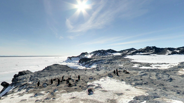 Rocha dos pinguins-de-adélia, no Street View