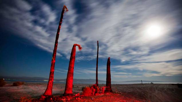 Troncos de palmeiras na margem do Salton Sea, na Califórnia, Estados Unidos