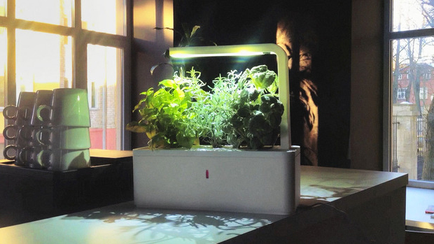 Smart Herb