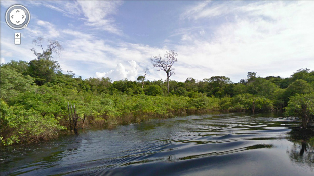Street View na Amazônia: mais de 50 mil fotos foram registradas para a cobertura do local