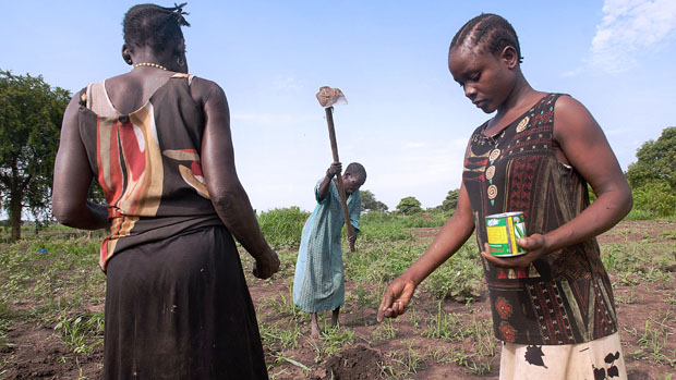Agricultores durante plantio, no Sudão do Sul