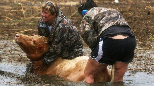Mulheres tentam salvar uma vaca atolada ao longo da rodovia 23 em Plaquemines, na Louisiana, EUA