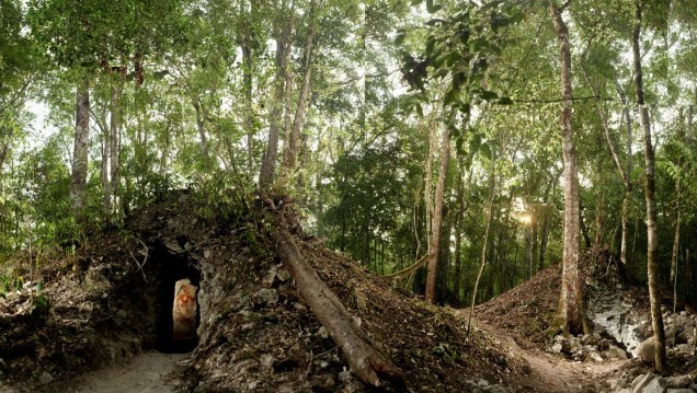 <p>Árvores crescem acima da casa maia recém-descoberta na Guatemala. O local onde a residência foi encontrada abrigava dezenas de milhares de pessoas durante o império Maia no século IX</p>