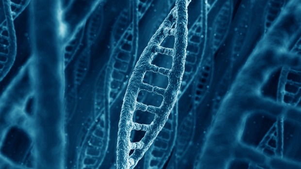 Na terapia gênica, o DNA defeituoso é substituído por uma cópia que funciona normalmente