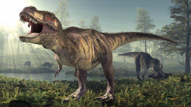 Pegadas de terópodes, como o Tiranossauro rex, foram encontradas no Peru