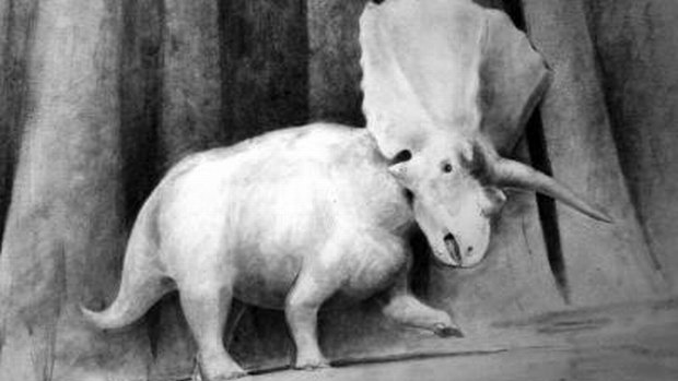 Família dinossauro: ilustração representa como deve ter sido o Titanoceratops, parente mais velho do conhecido Triceratops