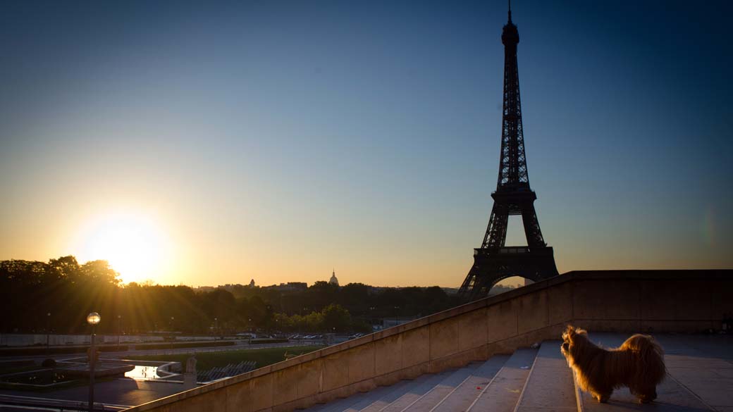 Vista da Torre Eiffel, em Paris