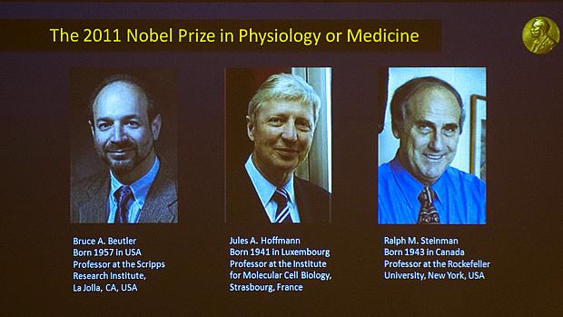 Telão revela os vencedores do Nobel de Medicina 2011. Da esquerda para direita: Bruce Beutler, Jules Hoffmann e Ralph Steinman