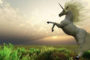 unicornio-20121201-original.jpeg