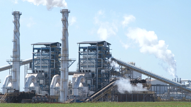 Usina de cana-de-açúcar: parte do etanol na atmosfera em áreas urbanas é convertida em substâncias tóxicas para os seres humanos