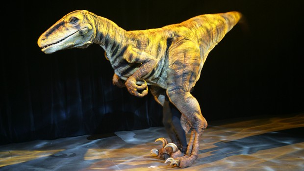 Velociraptor