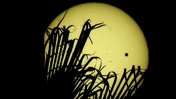 <p>Vênus passa na frente do Sol em imagem registrada em Los Angeles, EUA</p>