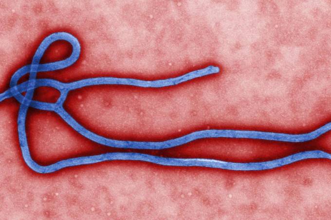 virus-ebola-virion-original.jpeg