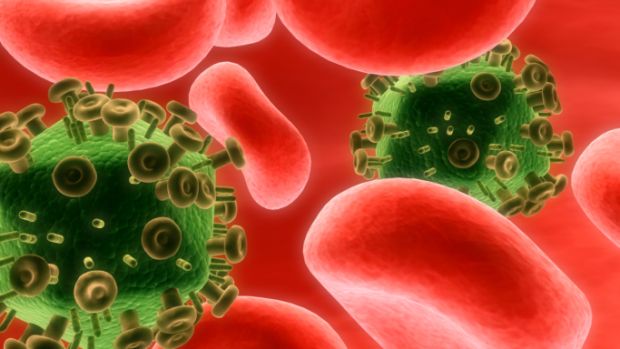 Vírus HIV infectam glóbulos vermelhos: mesmo indetectável no sangue, vírus pode ser transmitido pelo sêmen