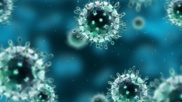 O vírus da gripe H1N1: especialmente agressivo no Sul do Brasil