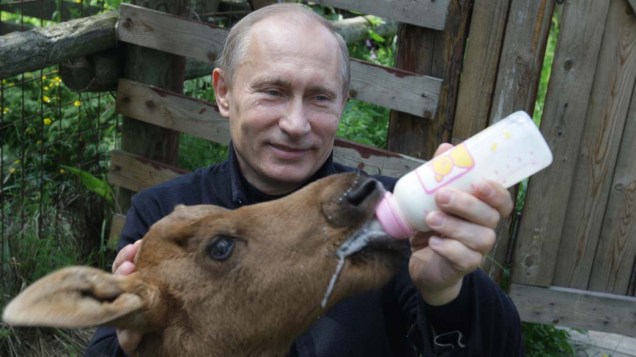Vladimir Putin alimenta um alce durante visita ao Parque Nacional de Moscou em junho de 2010