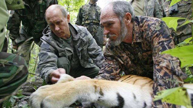 Vladimir Putin junto ao cientista Vyacheslav Razhanov colocam um transmissor de satélite GPS-Argos em um tigre, durante visita a Academia Russa de Ciências em agosto de 2008