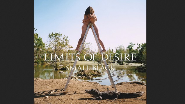 ‘Limits of Desire’, da banda americana Small Black. Enquanto um casal nu se abraça no topo de uma escada móvel, perto de um pântano, um jacaré passeia tranquilamente pelo chão. Entendeu?