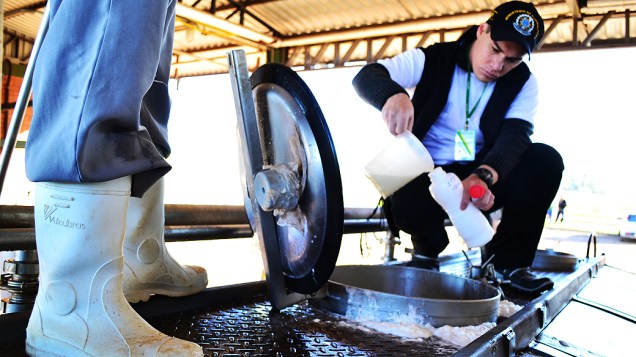 Ministério Público faz operação contra adulteração de leite no norte do Rio Grande do Sul<br>   