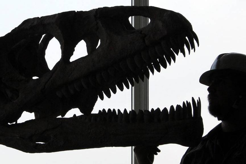 Uma réplica do crânio de um dinossauro "Lessemsaurus sauropoides" é visitada em museu em Tóquio, no Japão