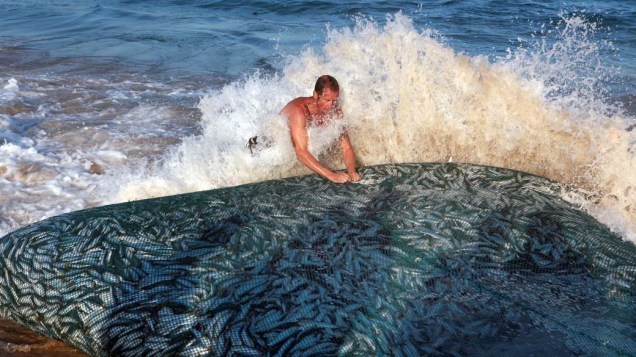 Pescador empurra a rede repleta de sardinhas em Durban. Todos os anos, nessa época, milhares de sardinhas passam pela costa lesta da África do Sul. Os cardumes atraem tubarões, golfinhos e gansos para as praias. Milhares de moradores e turistas acompanham o evento