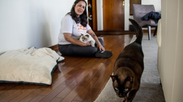 Cíntia Cardoso, pet sitter e dog walker, com os gatos Charlie e Emma