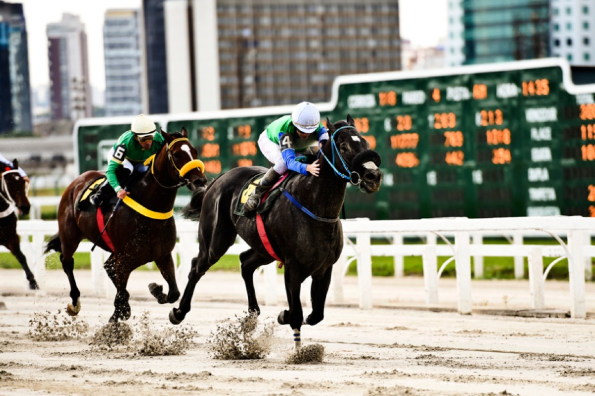 Legalização dos jogos de azar anima setor de corridas de cavalo no