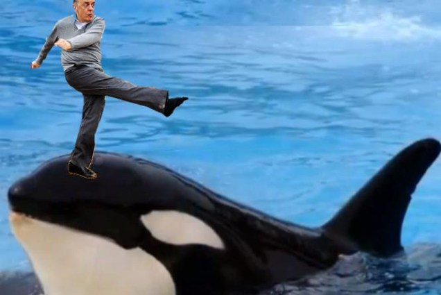 Serra também aparece na baleia de Nissim Ourfali, jovem que foi tema de outro meme em agosto