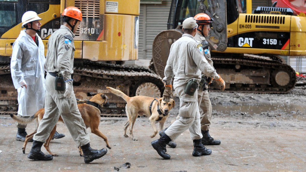 Cães farejadores são usados durante as buscas por vítimas na área do desabamento, no Rio de Janeiro - 28/01/2012
