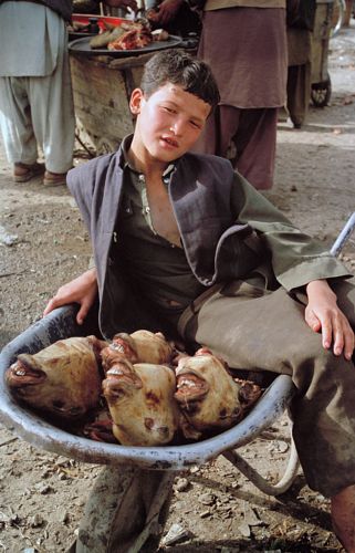 Garoto vende cabeças de ovelha em mercado em Cabul, em maio de 1992.