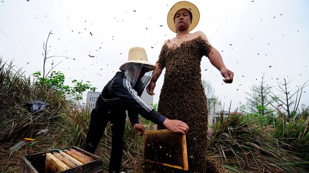 Agricultor chinês She Ping, fica coberto com abelhas em sua fazenda, no município de Chongqing, sudoeste da China