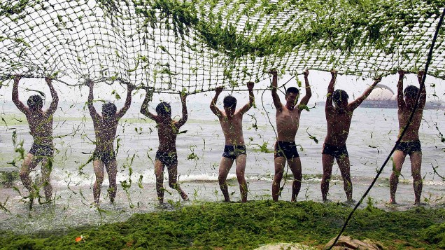 Moradores removem algas verdes de uma rede na praia de Qingdao, na China