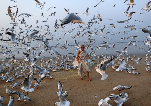 Homem alimenta dezenas de gaivotas em praia de Mumbai, na Índia, banhada pelo mar Arábico