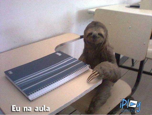 <p></p>