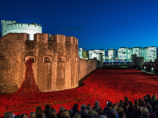 Britânicos realizam cerimônia diante da instalação de arte que homenageia os mortos na Primeira Guerra Mundial, durante o Dia do Armistício na Torre de Londres, em Londres - 11/11/2014