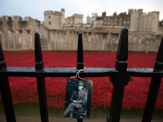 Britânicos realizam cerimônia diante da instalação de arte que homenageia os mortos na Primeira Guerra Mundial, durante o Dia do Armistício na Torre de Londres, em Londres - 11/11/2014