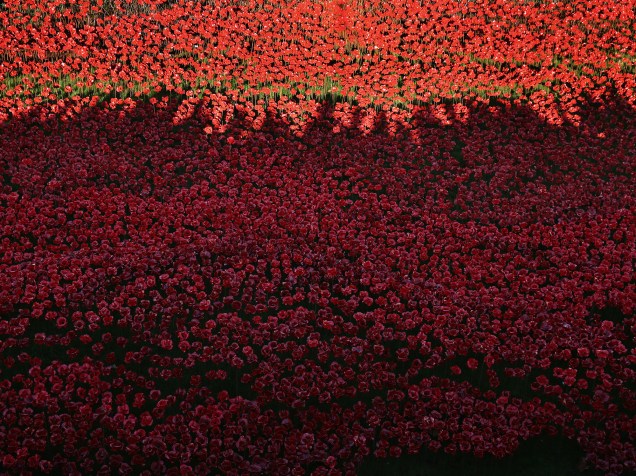 Instalação artística mostra papoulas de cerâmica que marcam o centenário do início da Primeira Guerra Mundial, na Torre de Londres, Inglaterra. Produzida pelo artista Paul Cummins, a obra é formada por 888.246 flores que representam as vidas dos militares mortos durante o confronto